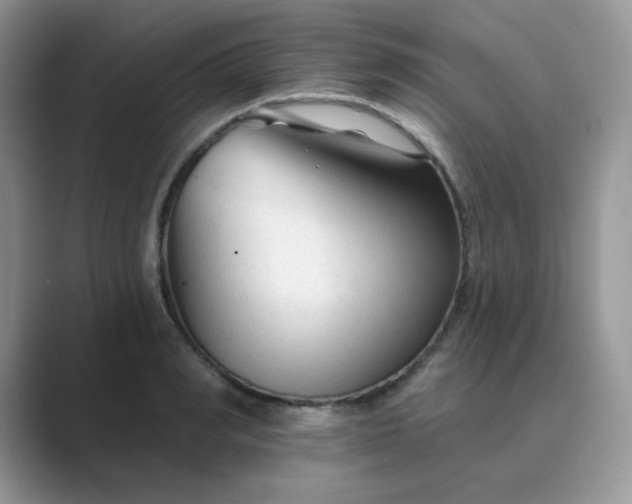 X0000089680990200707051603