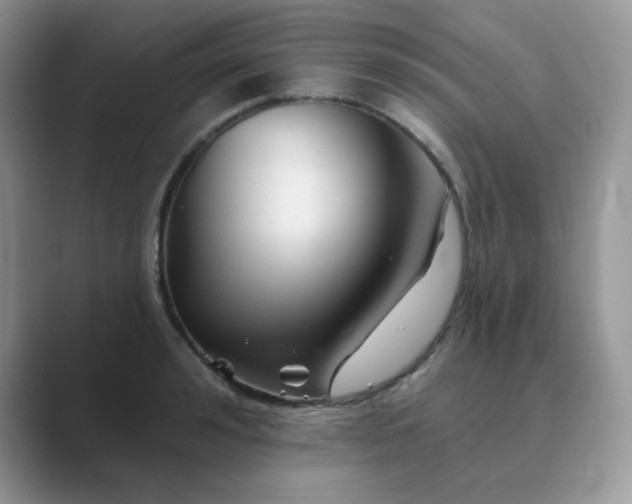 X0000089680992200707051603