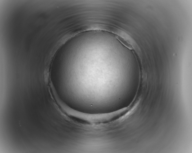 X0000089680993200707051603