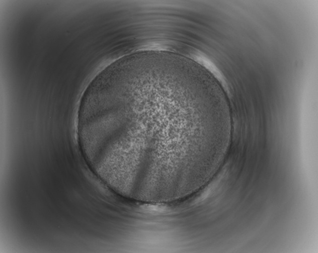 X0000089680994200707051603
