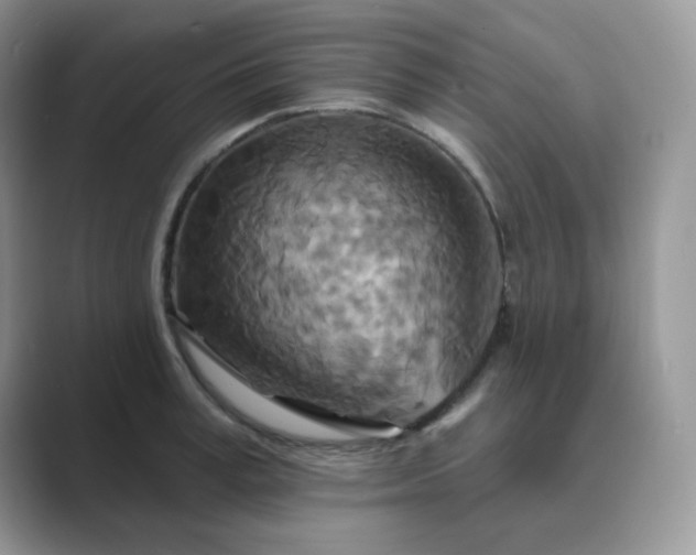X0000089680995200707051603