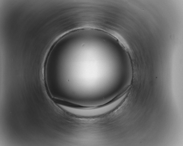 X0000089680996200707051603