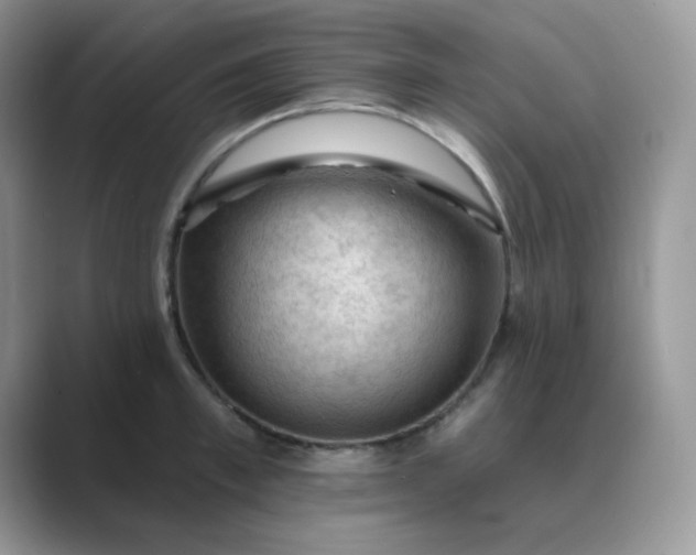 X0000089680997200707051603