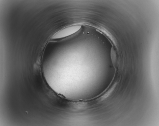 X0000089681001200707051603