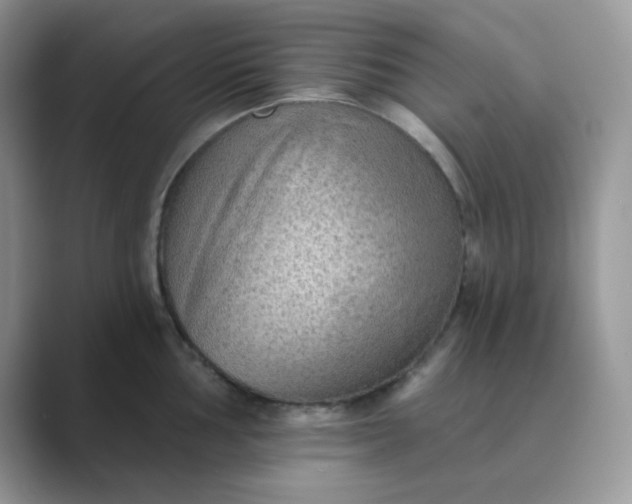 X0000089681002200707051603