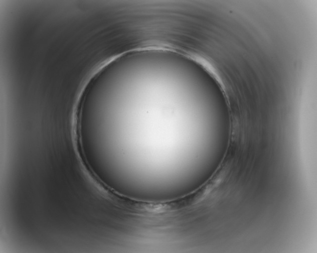 X0000089681003200707051603