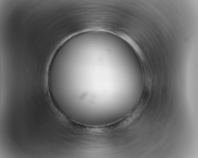 X0000089681004200707051603