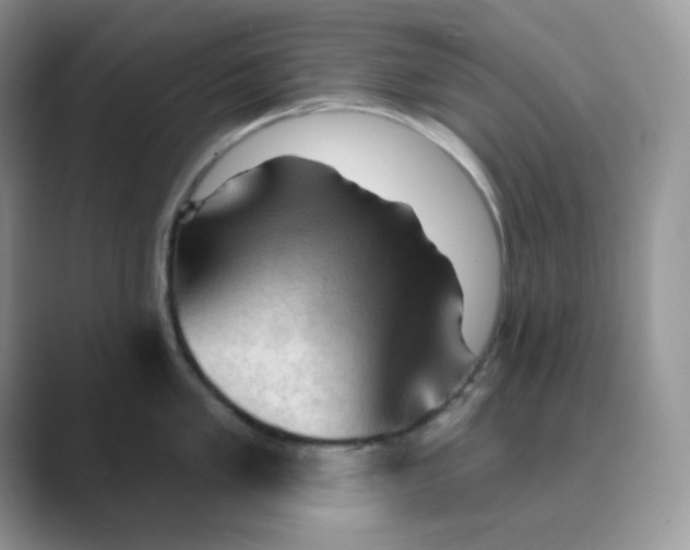 X0000089681005200707051603