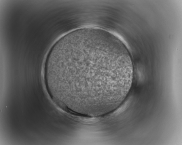 X0000089681007200707051603