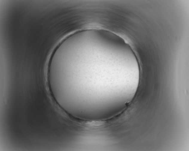 X0000089681008200707051603