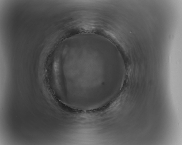 X0000089681009200707051602