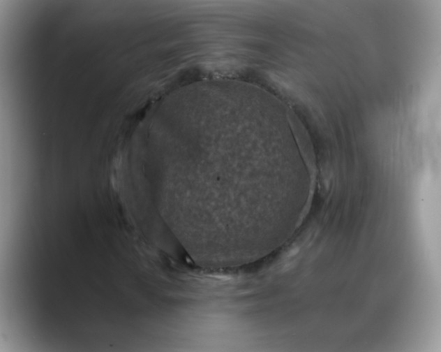 X0000089681010200707051602