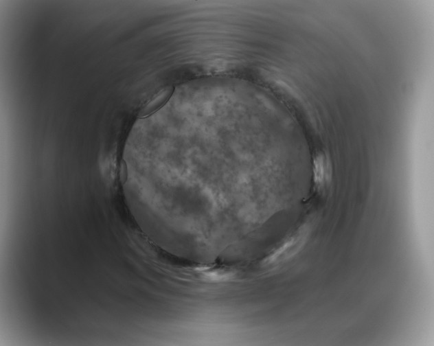 X0000089681011200707051602