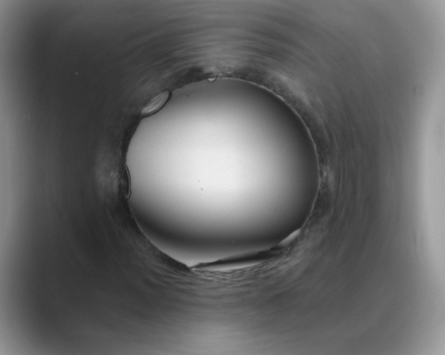 X0000089681012200707051602