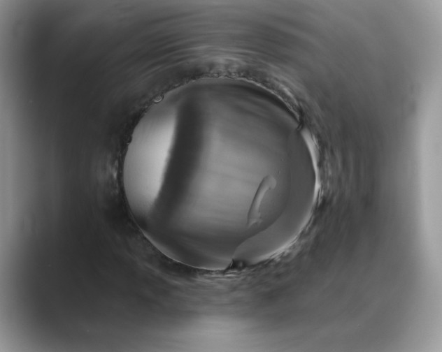 X0000089681013200707051602