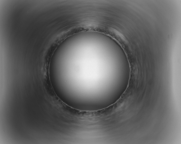 X0000089681016200707051602