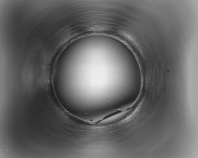 X0000089681017200707051602