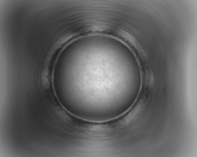 X0000089681018200707051602