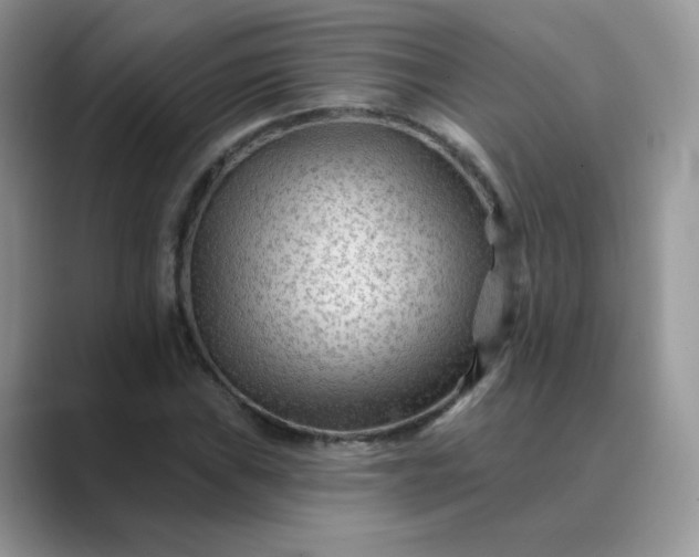 X0000089681019200707051602