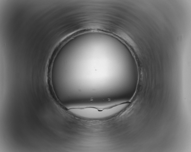 X0000089681020200707051603