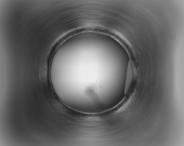 X0000089681021200707051603