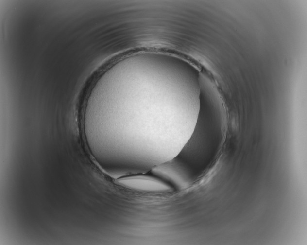 X0000089681022200707051603