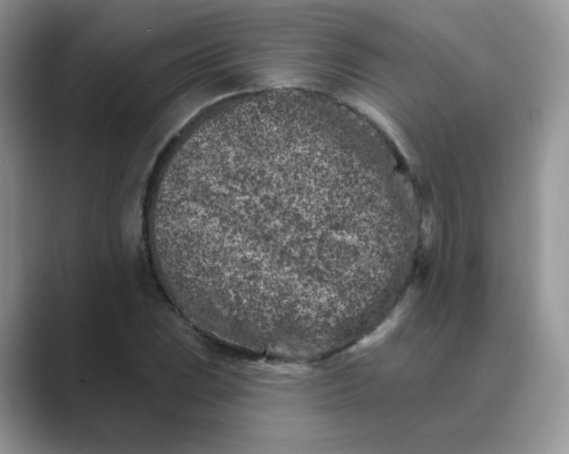 X0000089681023200707051603