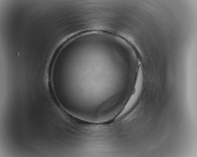 X0000089681024200707051603
