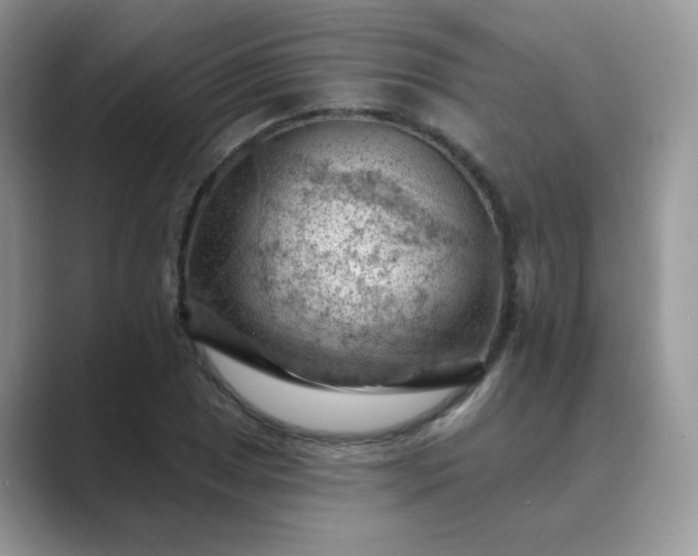 X0000089681025200707051603