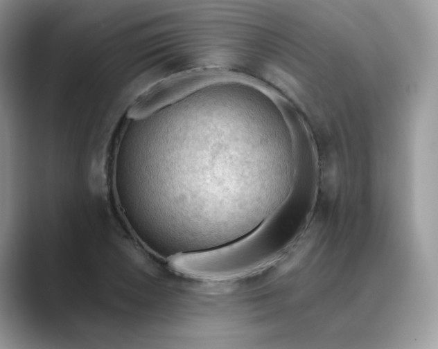 X0000089681026200707051603