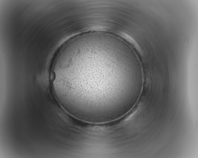 X0000089681027200707051603