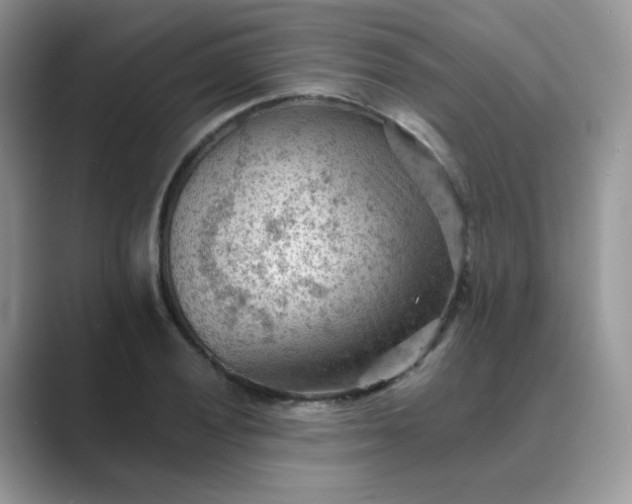 X0000089681028200707051603