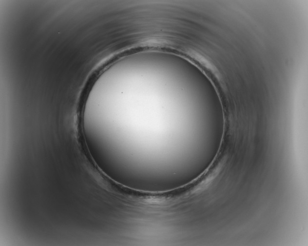 X0000089681029200707051603