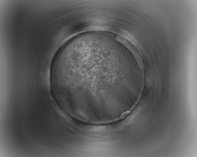X0000089681030200707051603