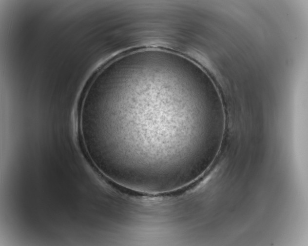 X0000089681032200707051603