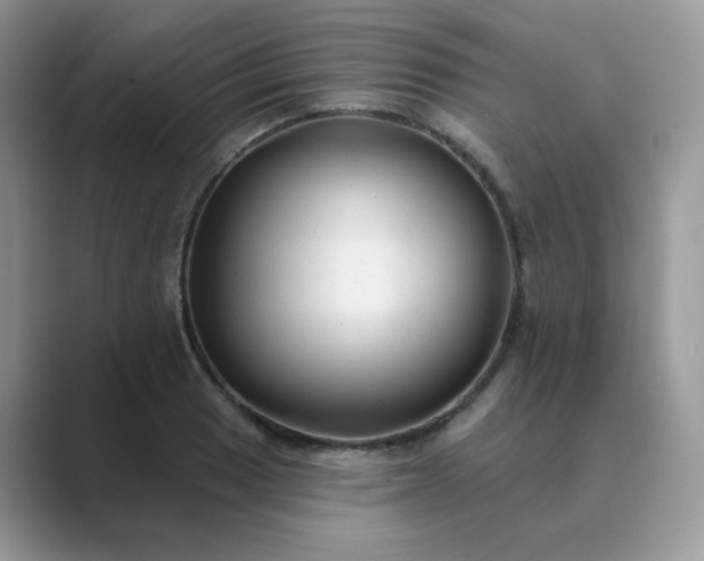 X0000089681033200707051603