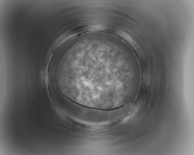 X0000089681034200707051603