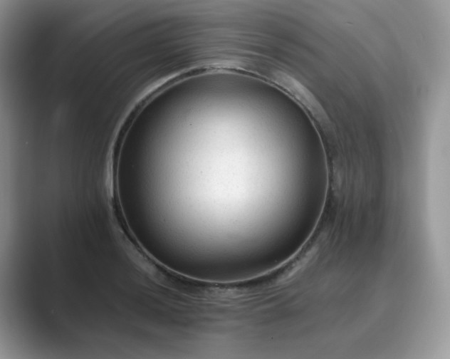 X0000089681036200707051603