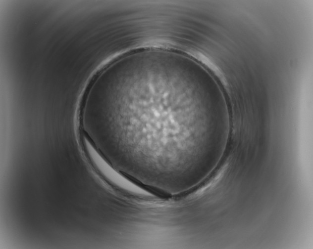 X0000089681037200707051603