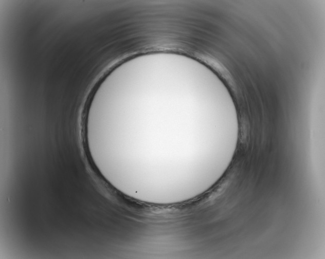 X0000089681039200707051603