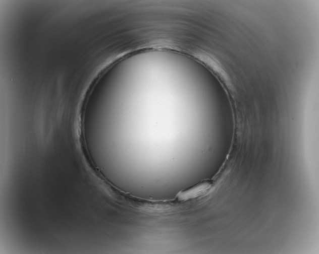 X0000089681040200707051603