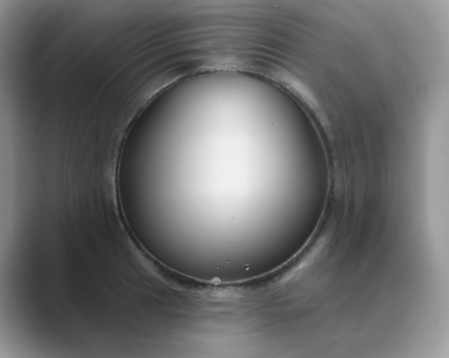 X0000089681041200707051603
