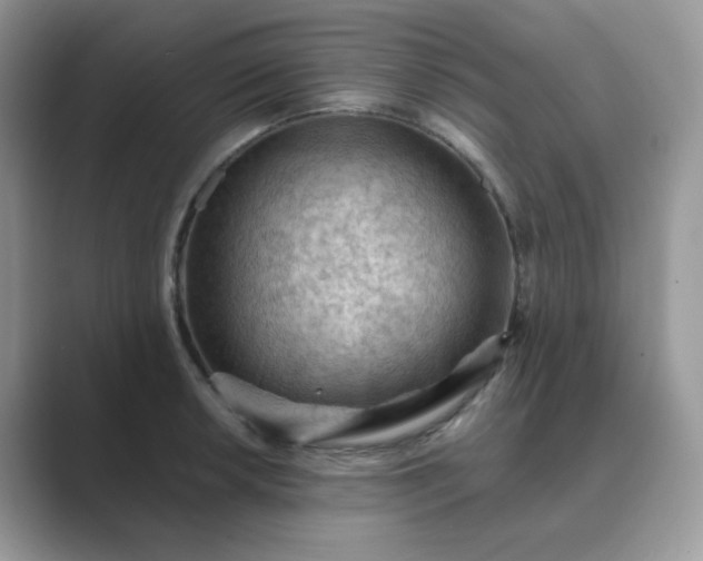 X0000089681042200707051603