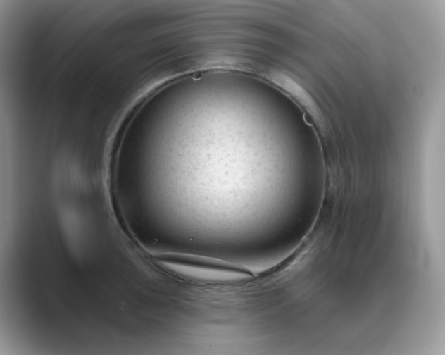 X0000089681043200707051603
