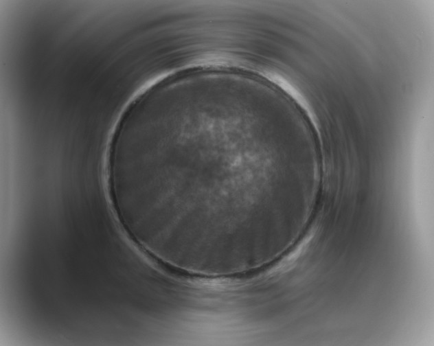 X0000089681045200707051603