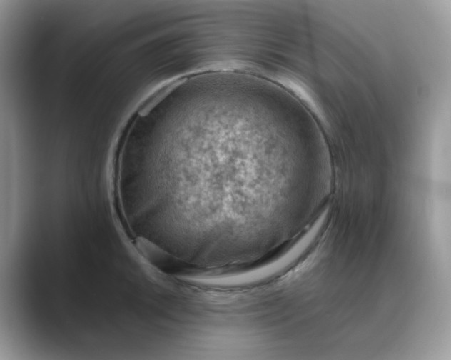 X0000089681046200707051603