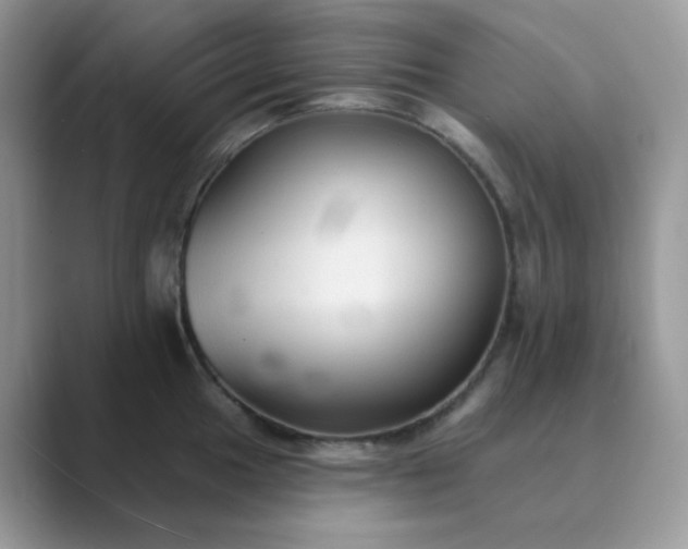 X0000089681049200707051603