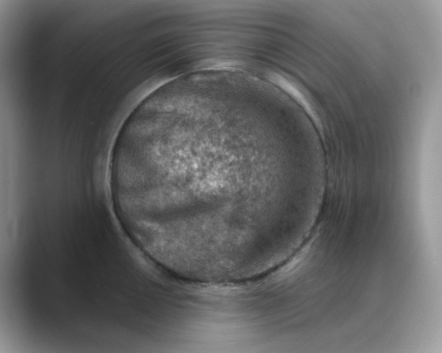X0000089681050200707051603