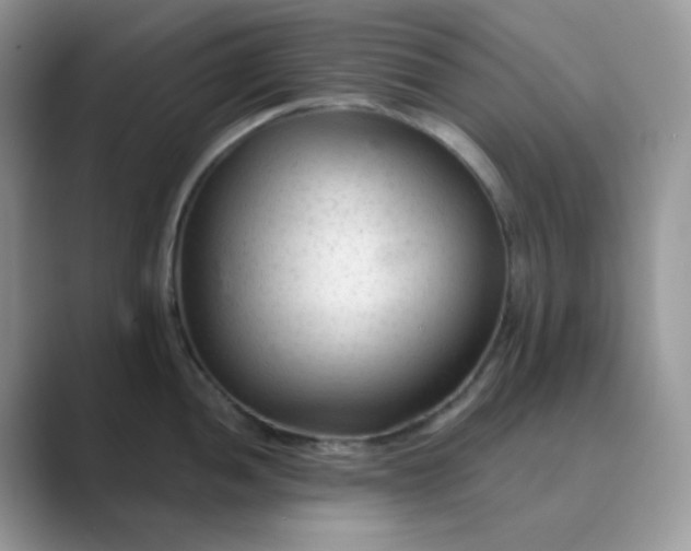 X0000089681052200707051603