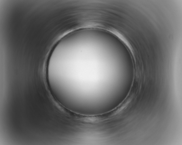 X0000089681053200707051603